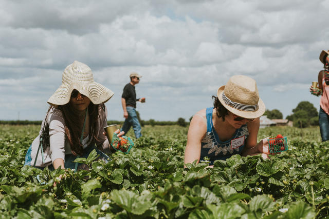 Student startup connects local farmers with city dwellers