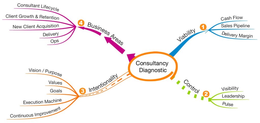 Consultancy Diagnostic