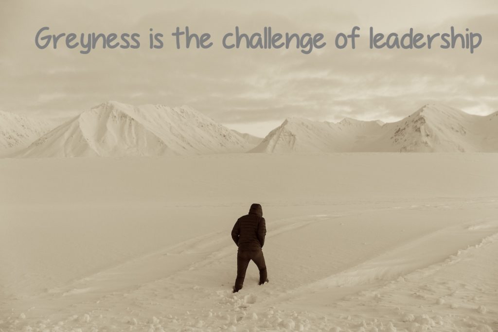Greyness is the challenge of leadership