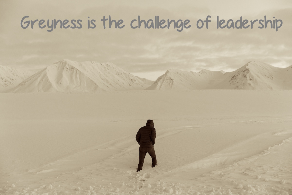 Greyness is the challenge of leadership
