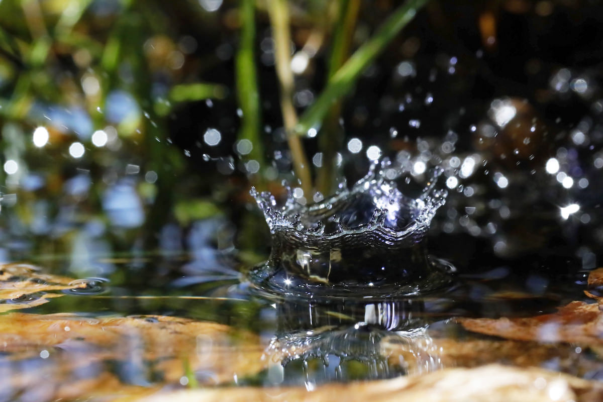 The ripples you create