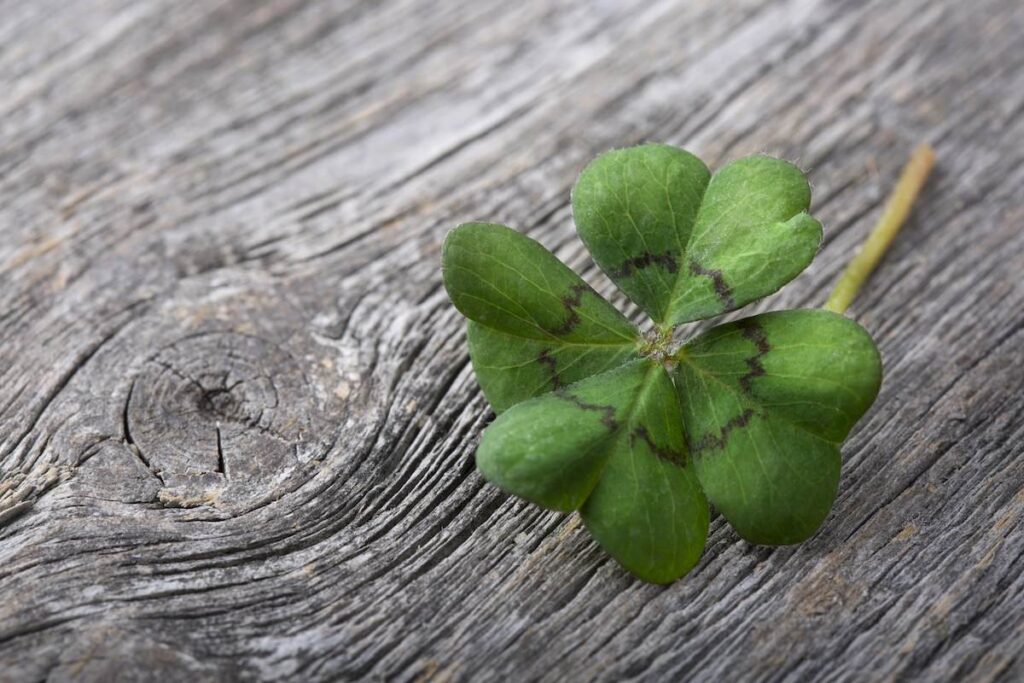 Your under-appreciated asset – luck