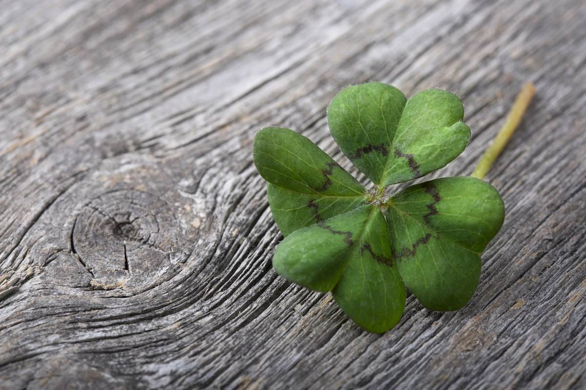 Your Under-appreciated Asset – Luck